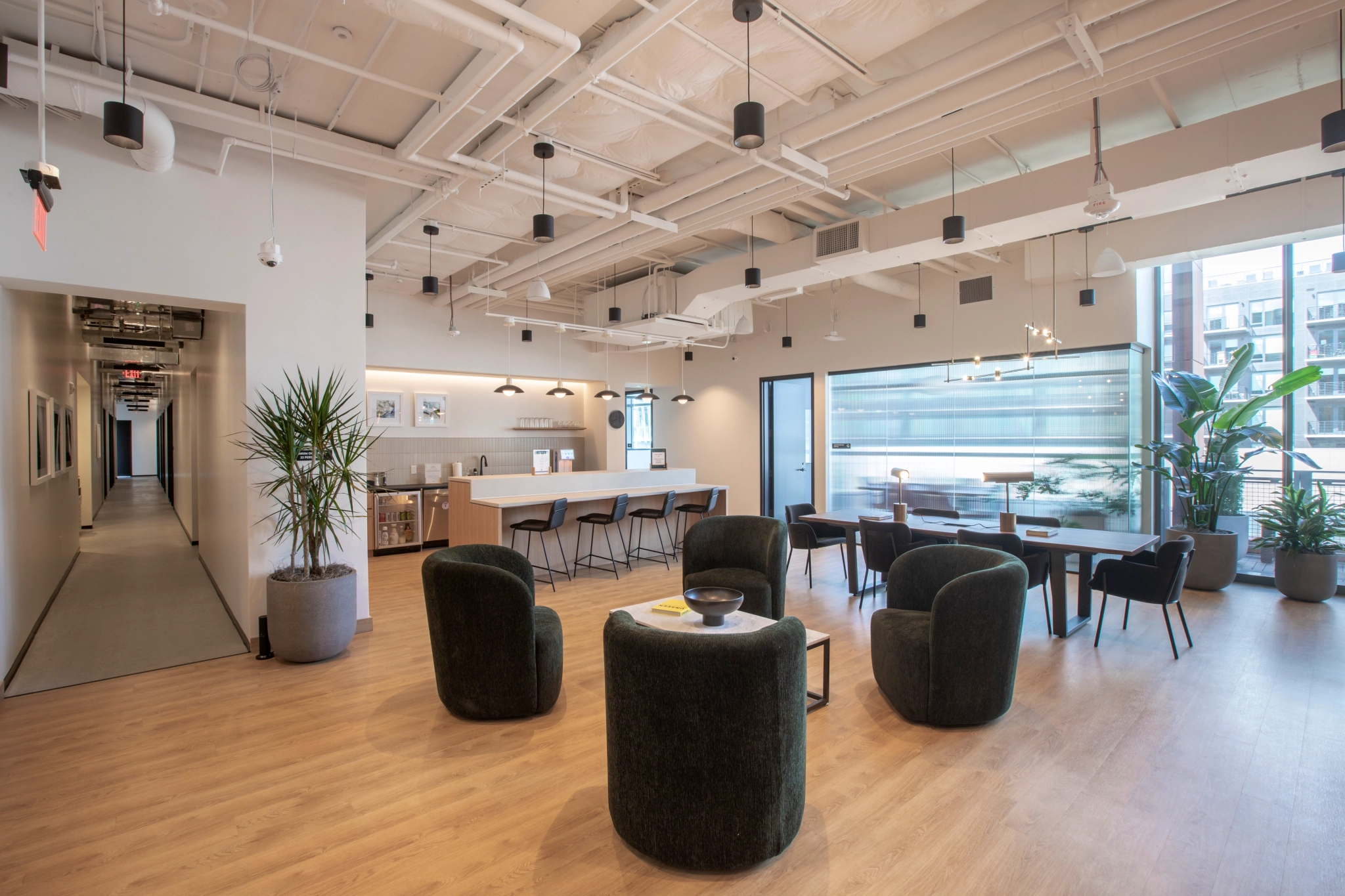 Een moderne kantoorlounge in Washington met donkergroene fauteuils, tafels, barstoelen en grote ramen. De kamer heeft een houten vloer, planten en plafondverlichting. Op de achtergrond zijn een gang en vergaderruimte zichtbaar.