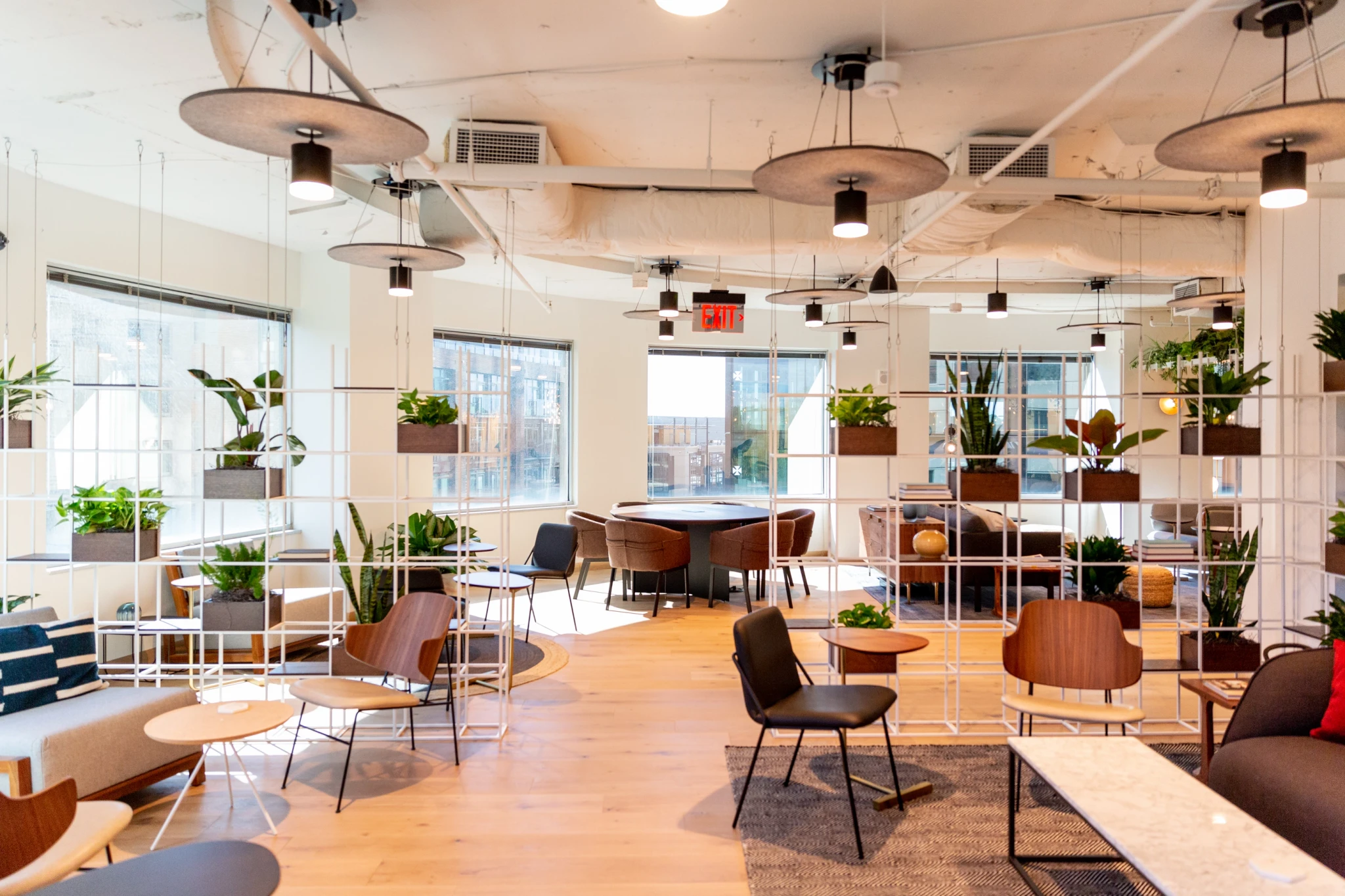 A green workspace or office featuring plants hanging from the ceiling.