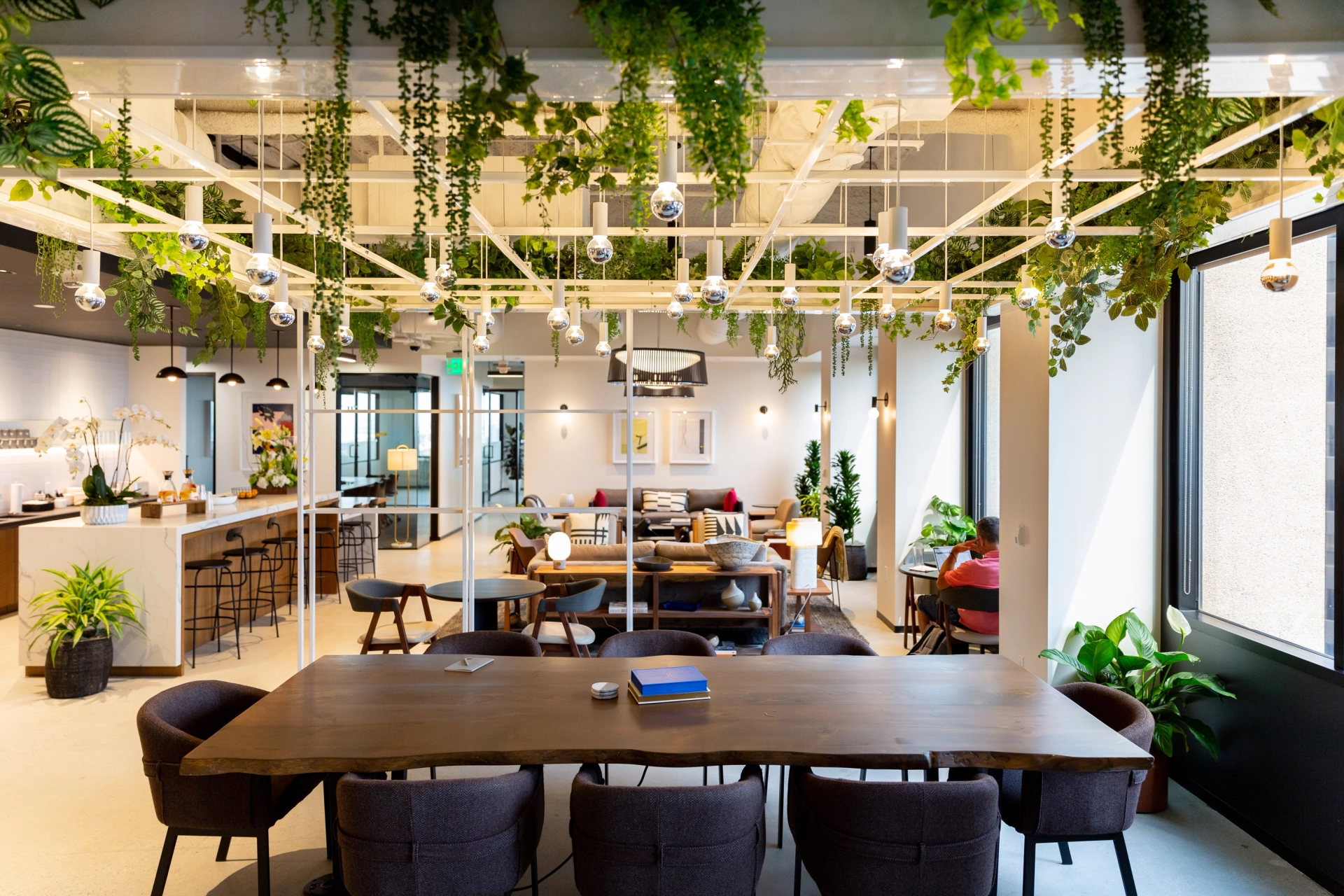 An office workspace in Los Angeles adorned with hanging plants from the ceiling.