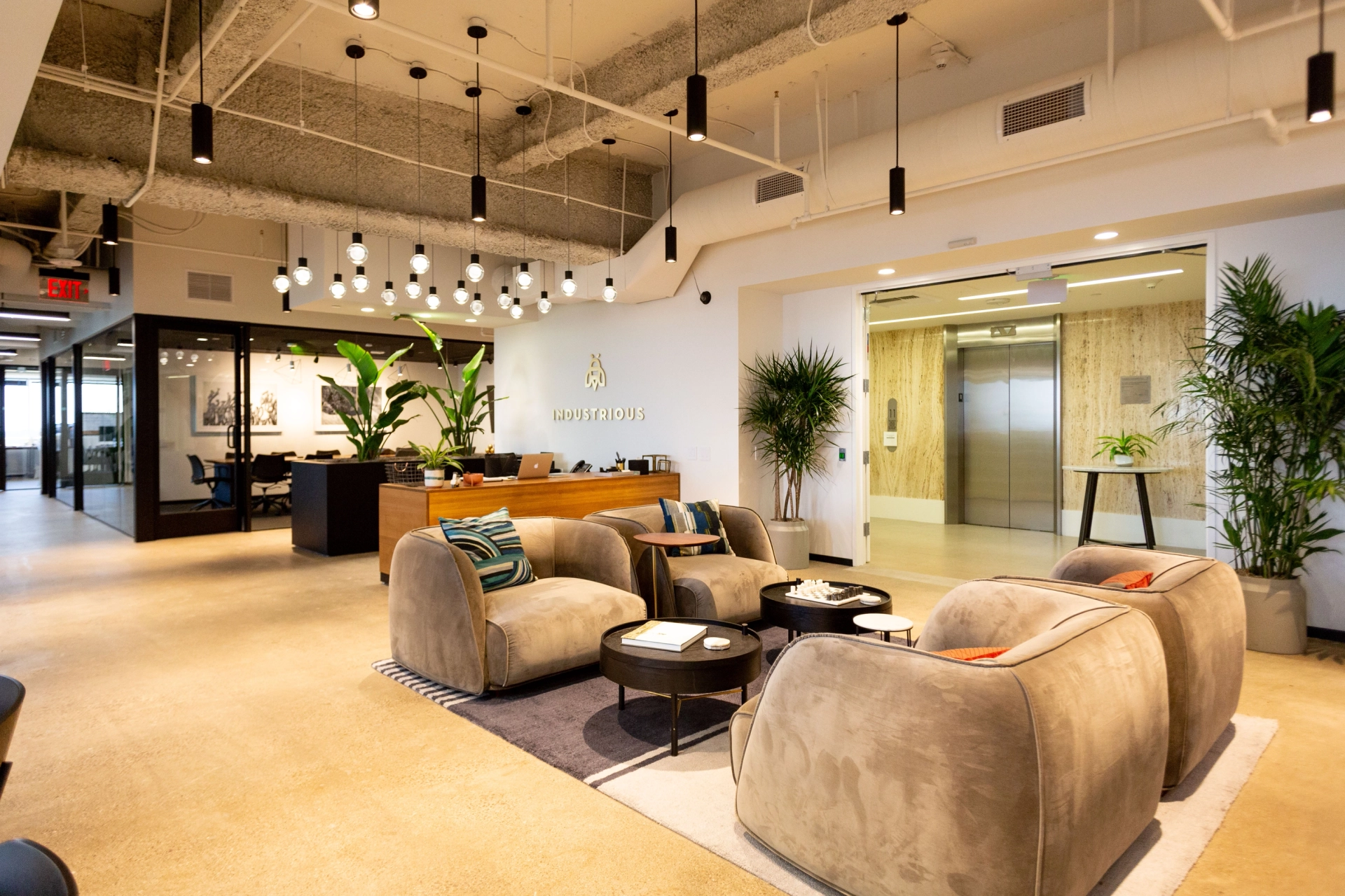 A modern office lobby with cozy couches, vibrant plants, and a welcoming workspace.