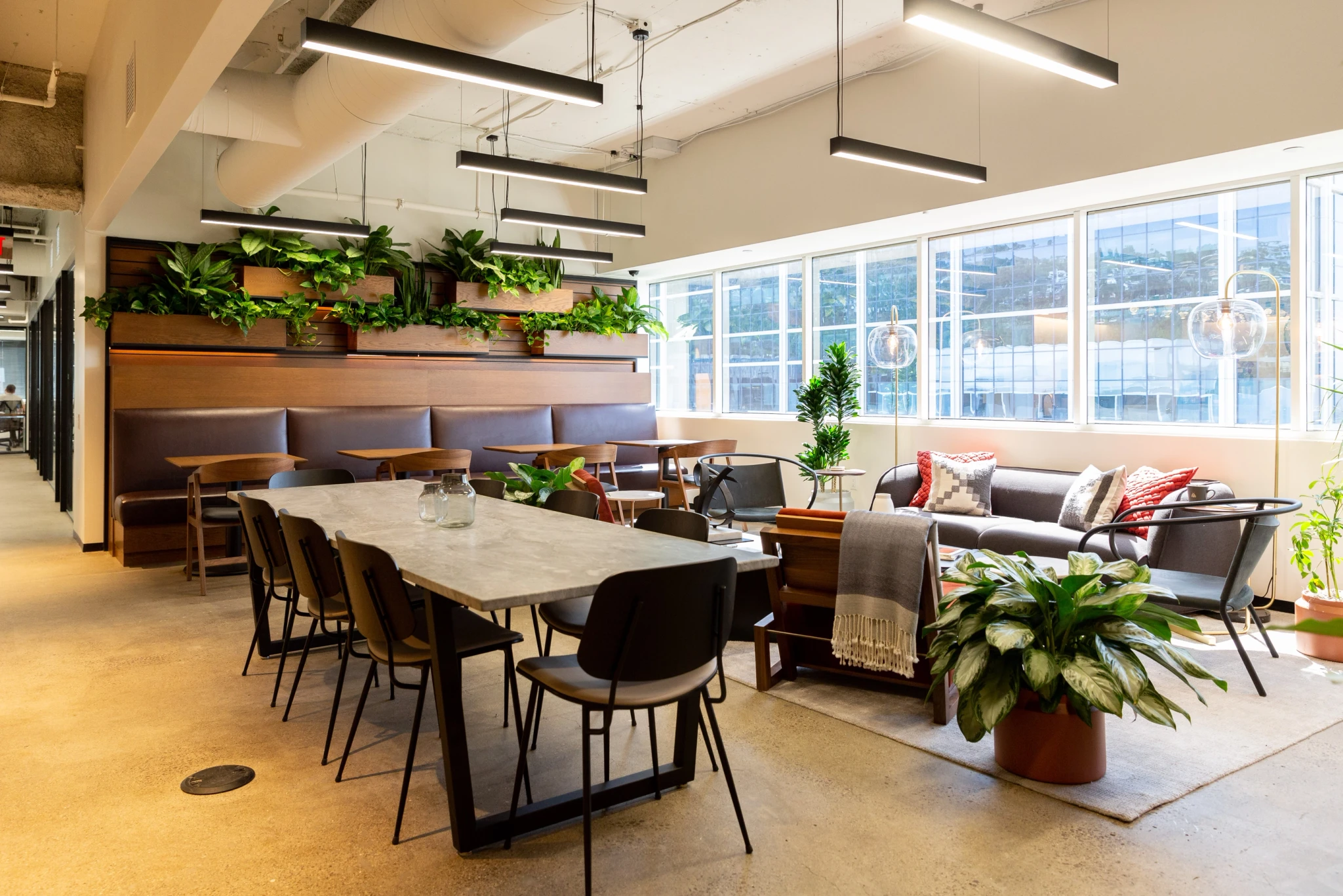 A cozy common area with a large table, chairs, plants, and natural light.