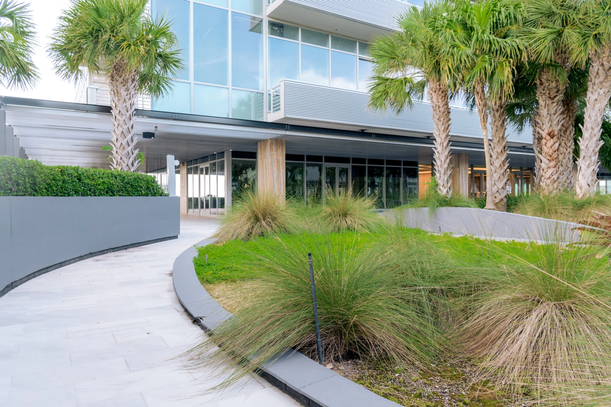 A palm tree lined walkway leading to a modern building in Hallandale Beach.