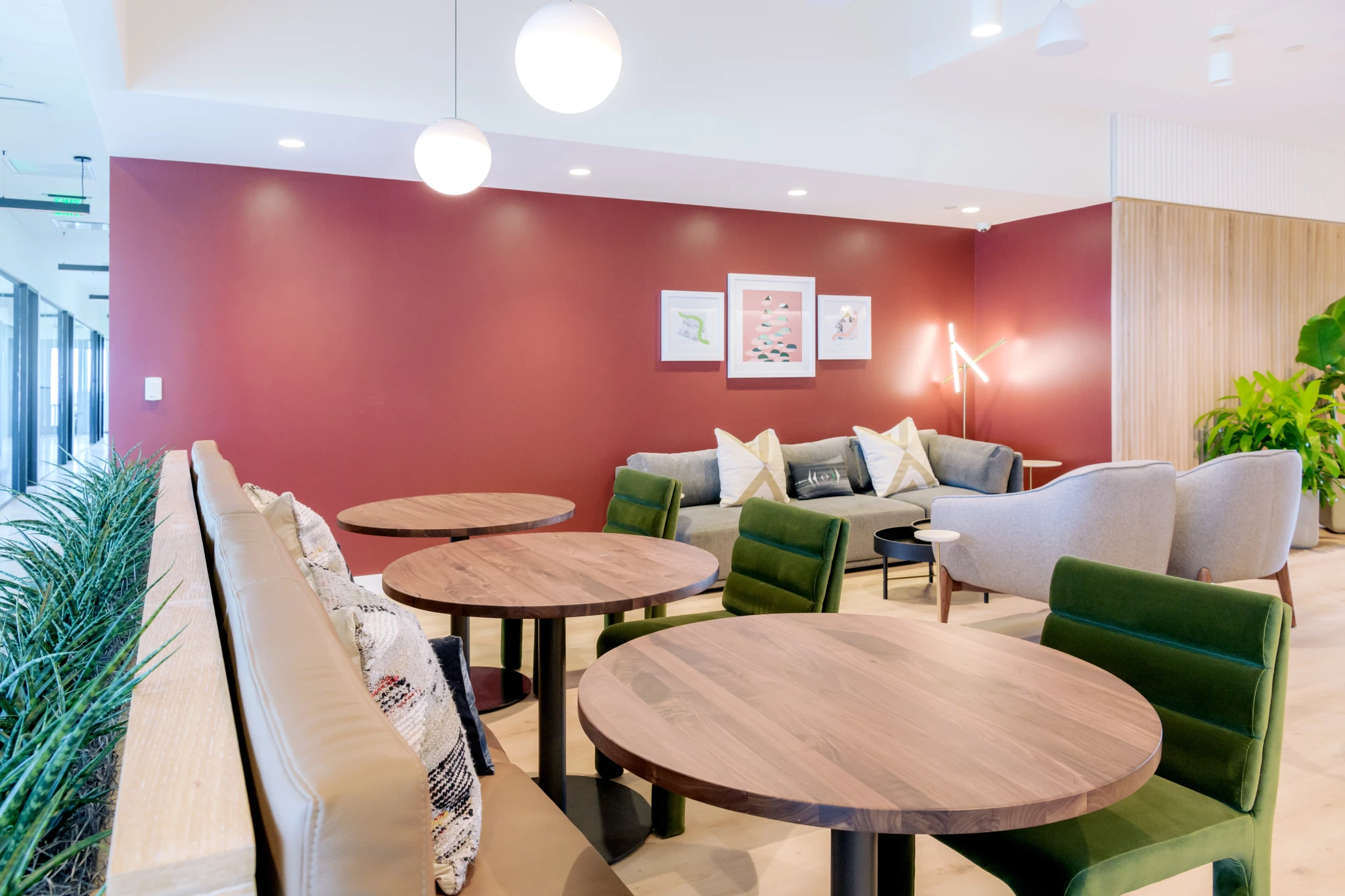 A coworking space with tables, chairs, and a plant.
