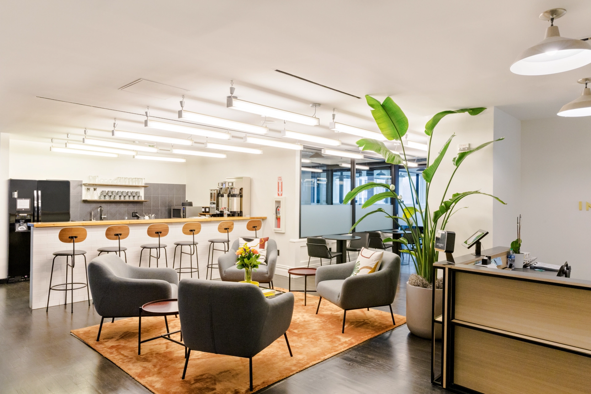 Un espace de travail de bureau moderne avec des chaises et une plante.
