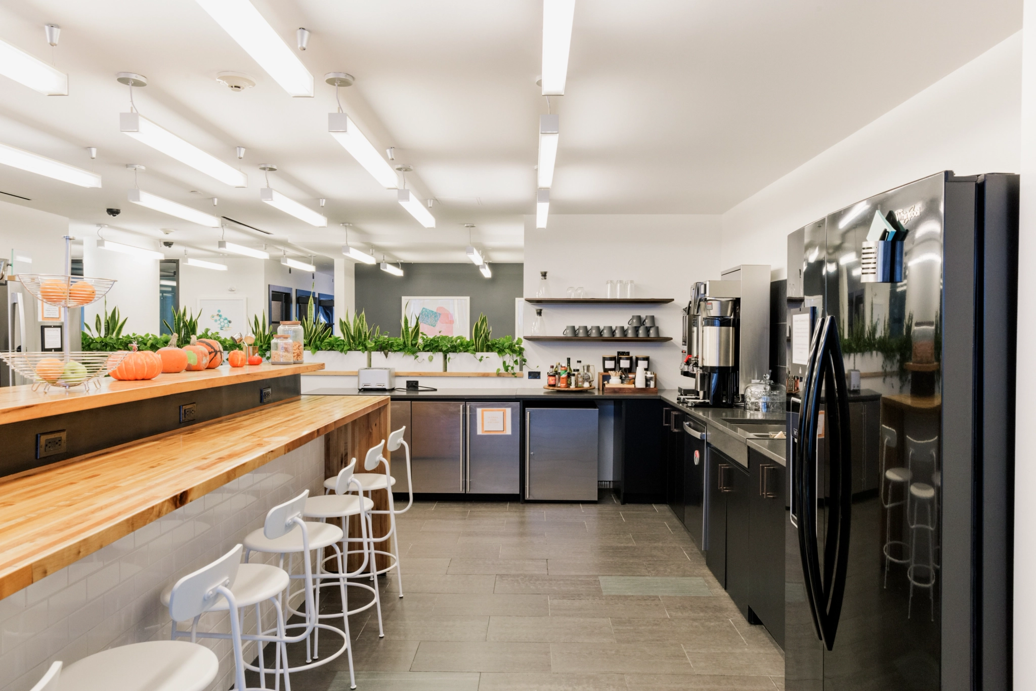 Una cocina moderna con una larga encimera de madera, taburetes y electrodomésticos crea un espacio de trabajo perfecto, decorado con calabazas, plantas y obras de arte en las paredes.