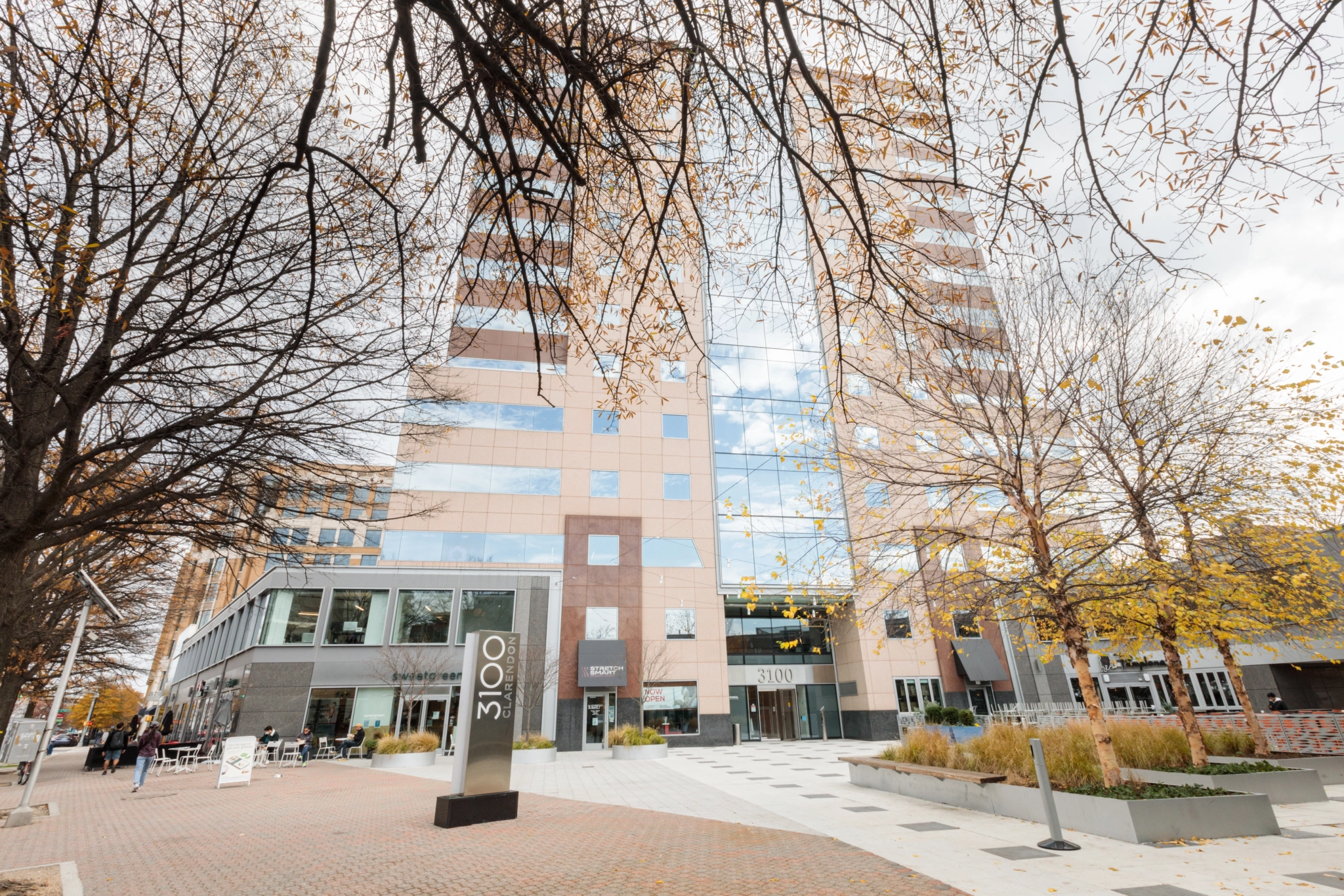 Arlington office workspace with a tall building and a tree in front.