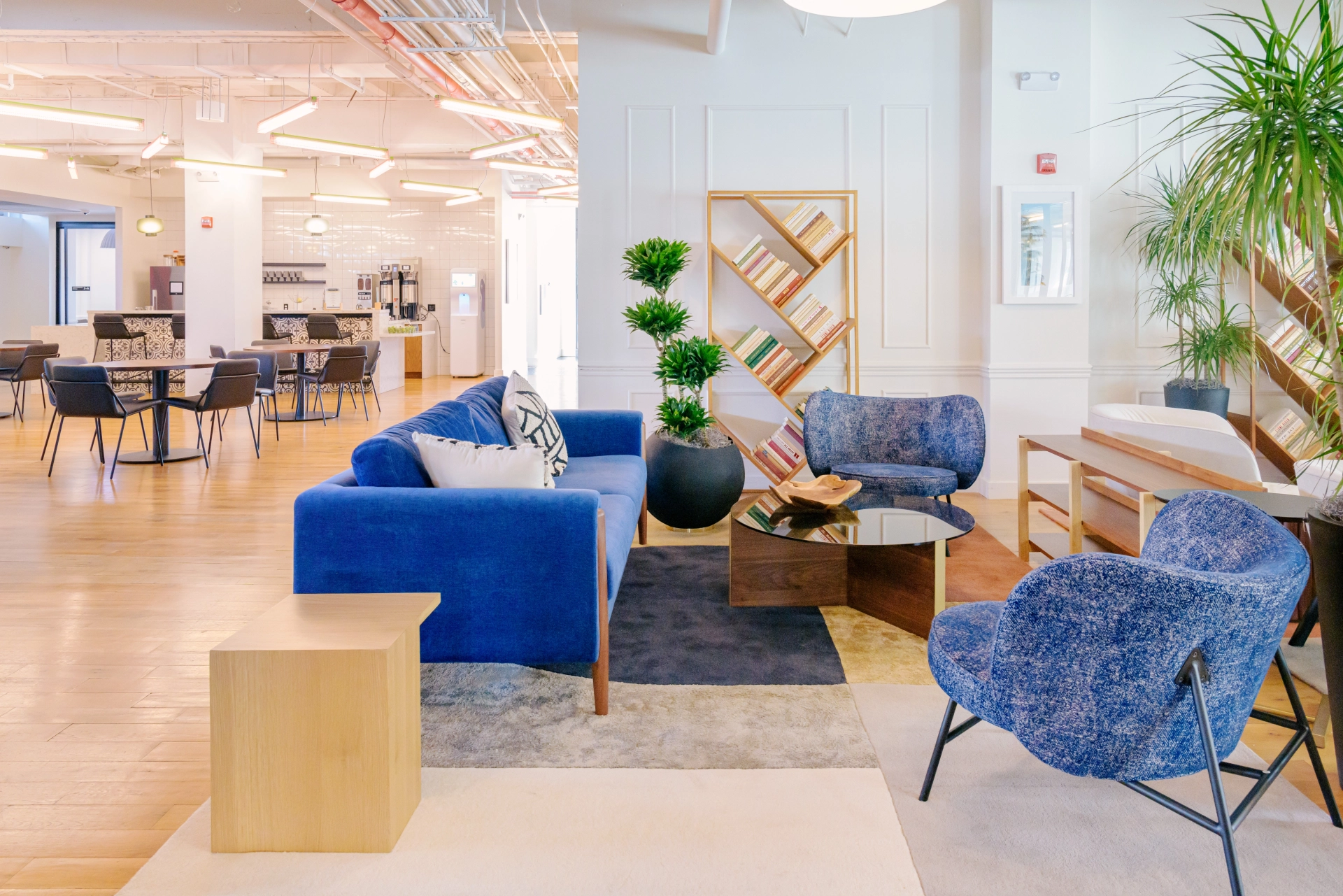 A coworking office with blue chairs in Miami Beach.