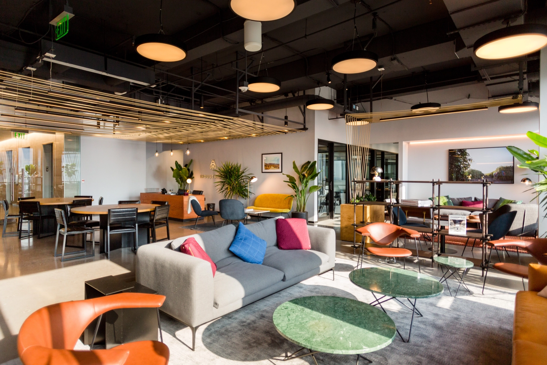Un espace de coworking moderne avec des meubles colorés et des plantes.