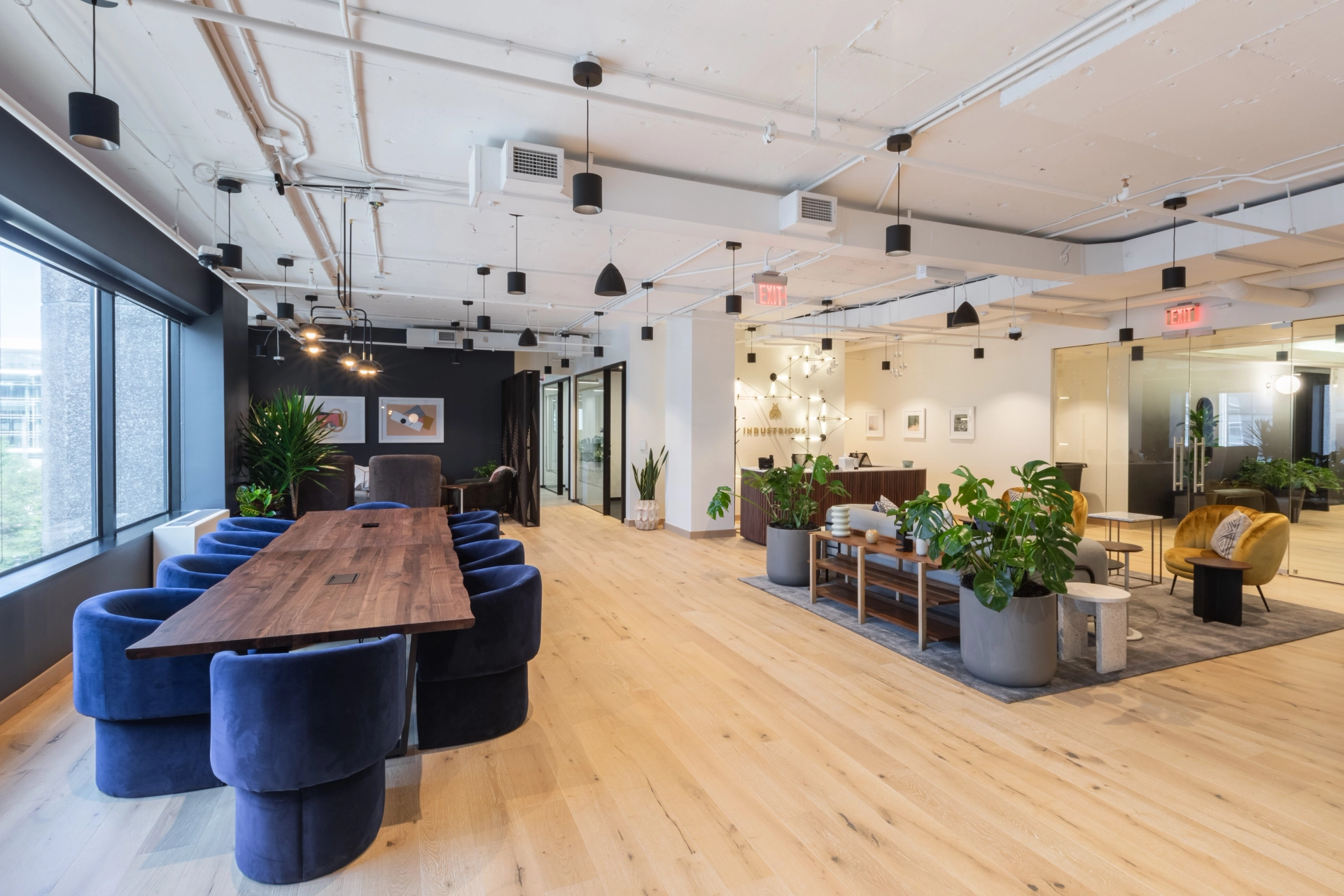 A coworking office in Washington featuring a table, chairs, and plants.