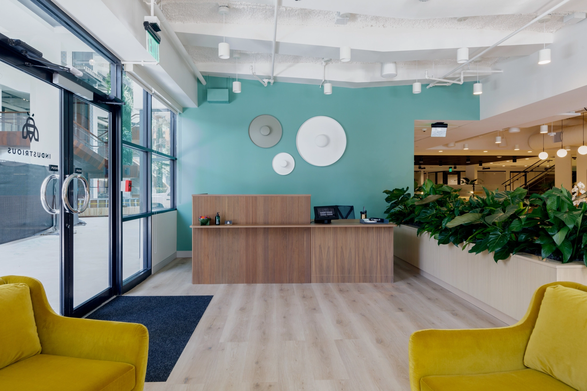 Modern coworking reception with a wooden desk, teal wall, circular wall art, and indoor plants. Yellow chairs grace the foreground, while a glass door on the left opens into this inviting workspace.