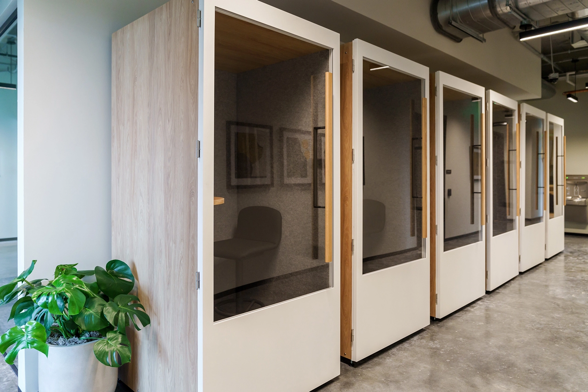 An office cubicle row with a plant in the middle.