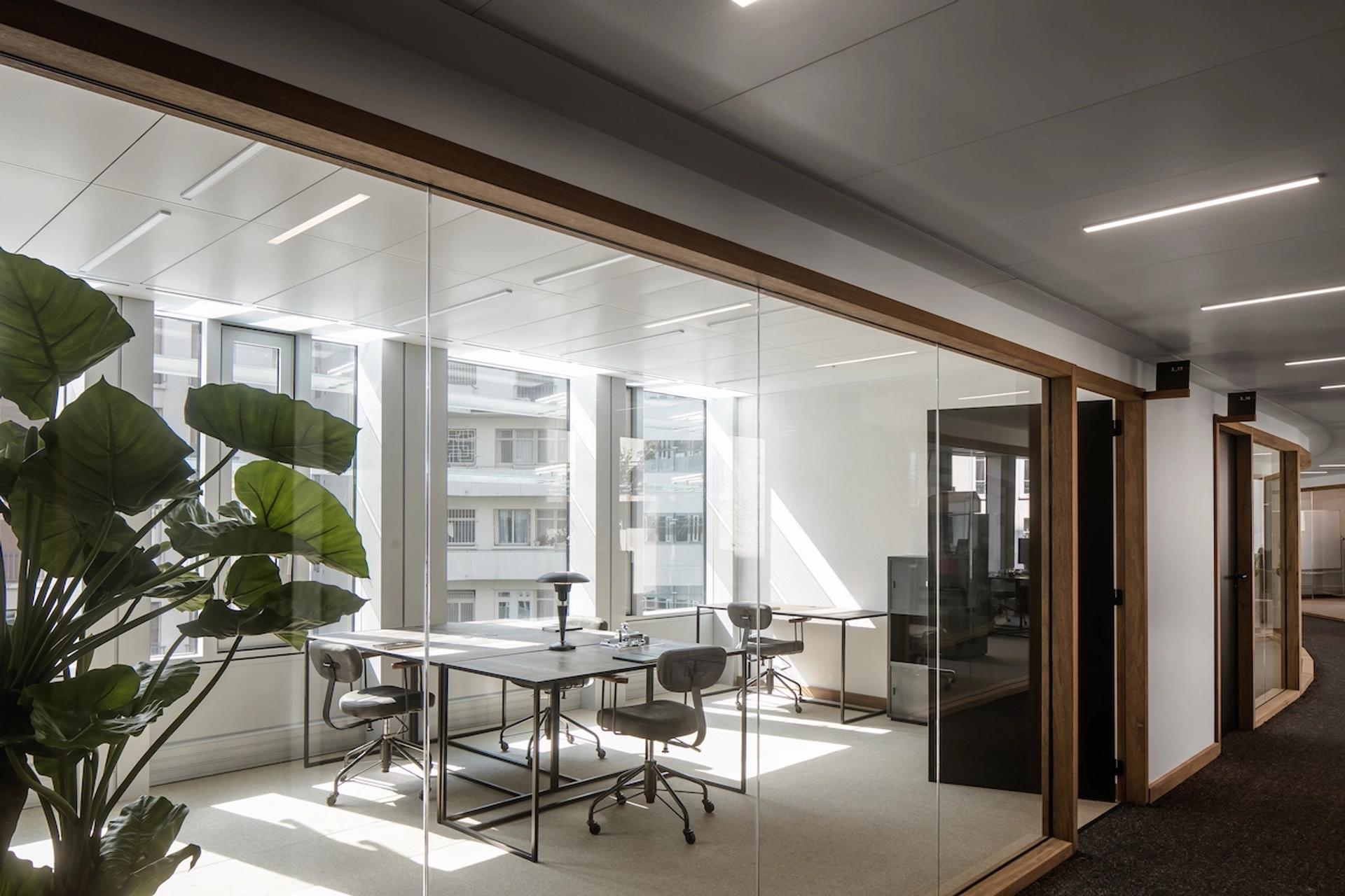 A coworking workspace in Paris featuring glass walls and a plant.
