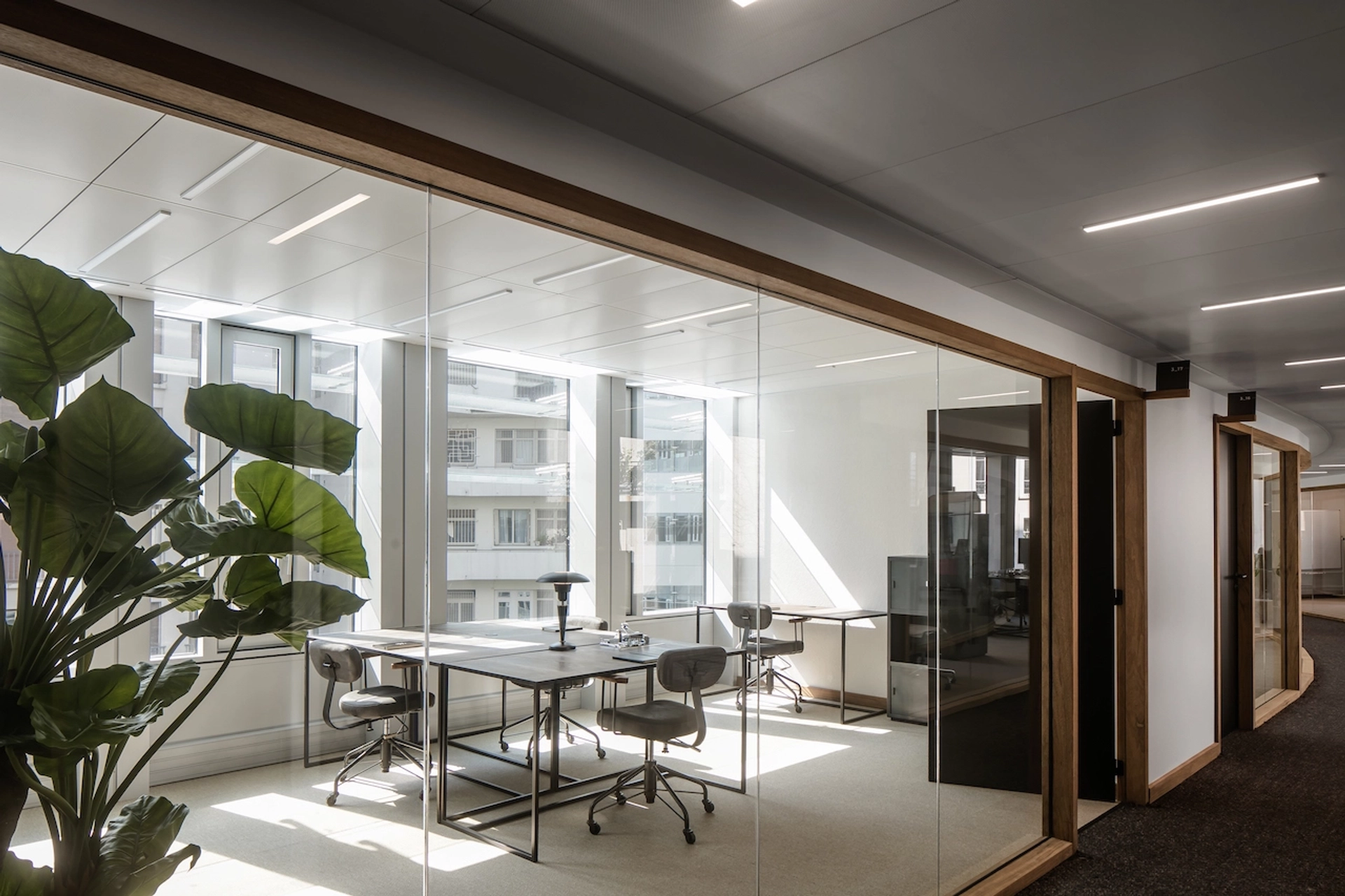 Un bureau de coworking avec des parois vitrées et une plante.