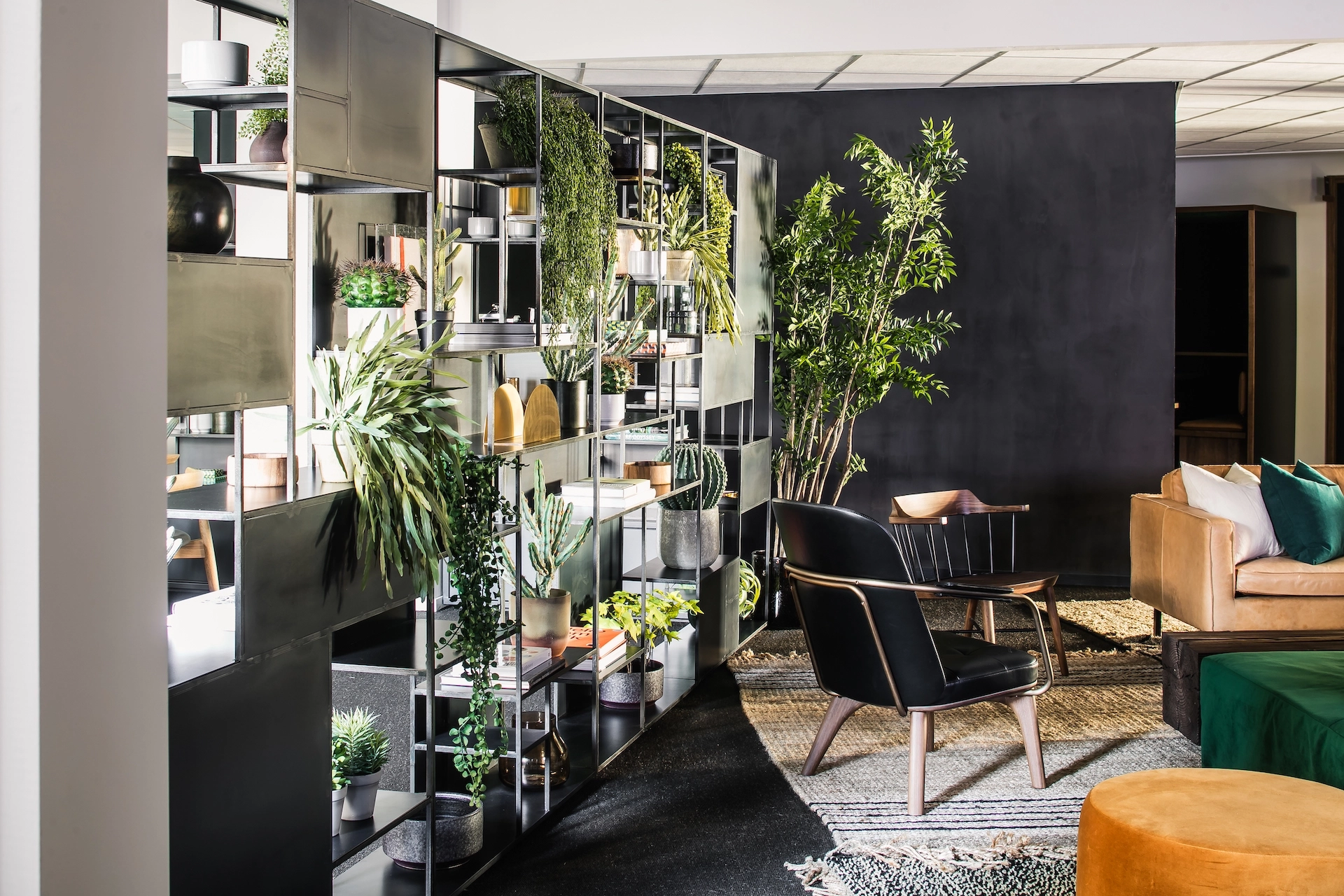 A black and green coworking space with a plant on the wall.