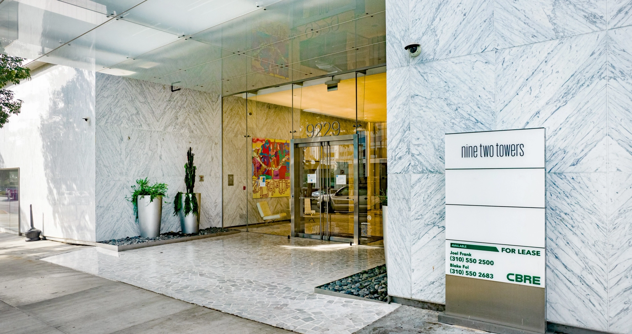 The entrance to an office with a plant in front of it.