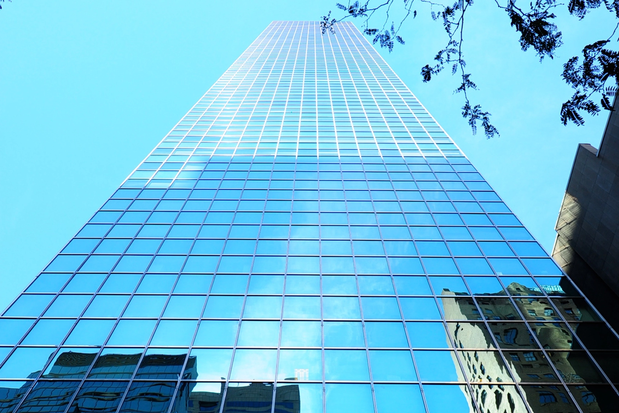 Ein hoher Wolkenkratzer mit einer Glasfassade, die vom Boden aus den Himmel und die umliegenden Gebäude reflektiert, spiegelt die pulsierende Energie New Yorks wider. Ein Bürobaumzweig erstreckt sich in den Rahmen auf der rechten Seite und verbindet natürliche Schönheit mit urbanen Coworking-Spaces.