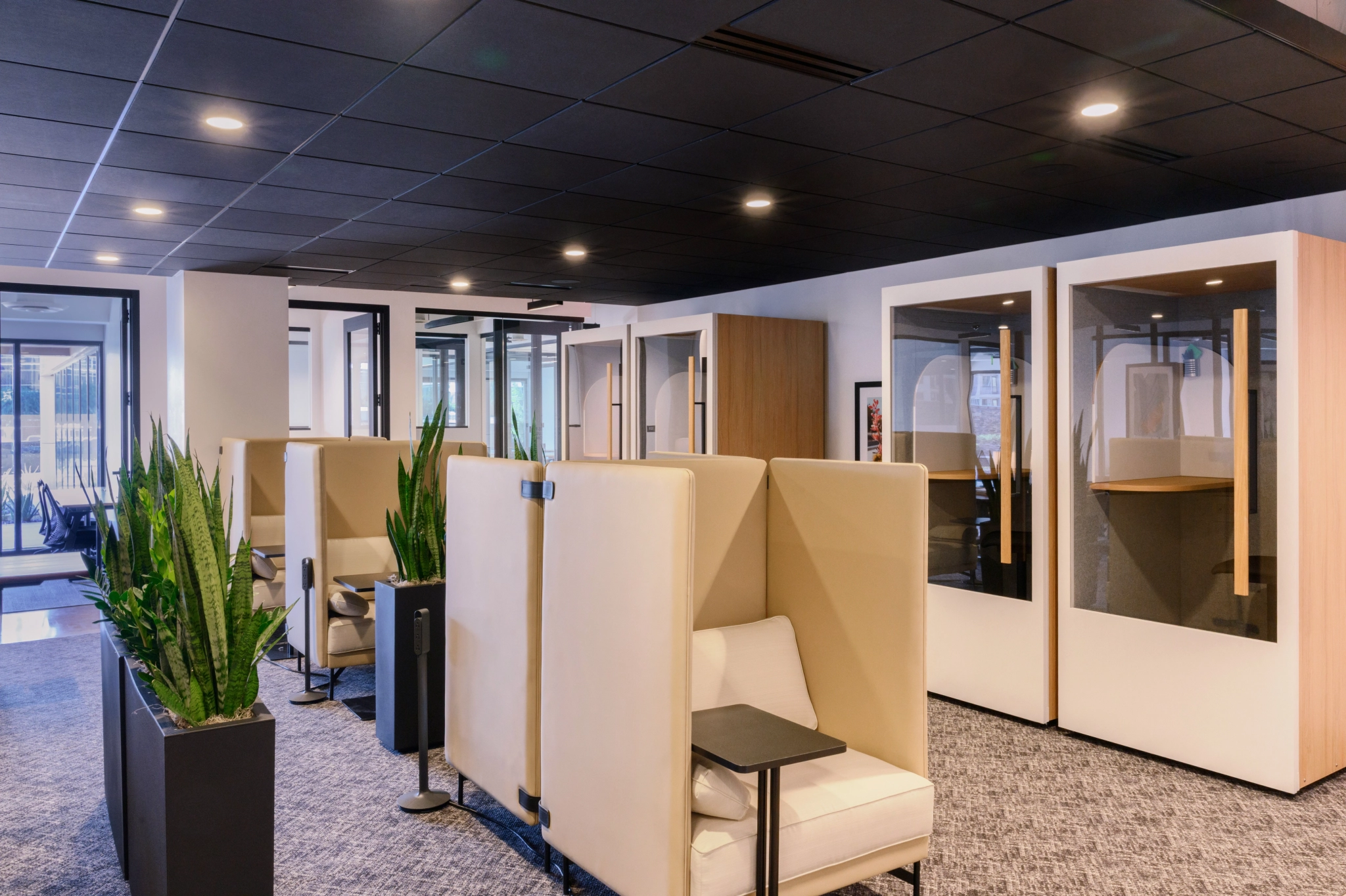 Moderne coworkingruimte met privékubussen, glazen vergaderruimten, neutrale inrichting, grijze vloerbedekking en planten in potten verspreid door de ruimte.