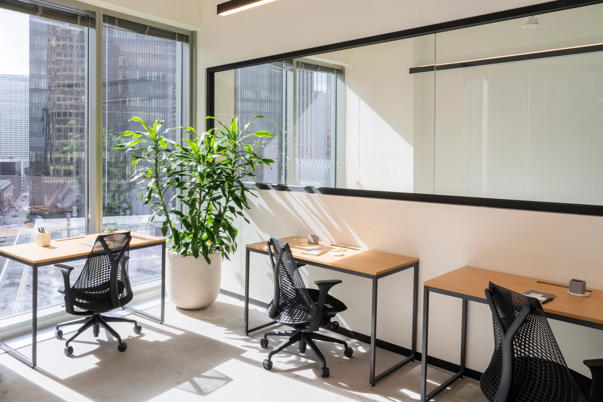 A bright coworking space with three desks, chairs, a potted plant, and large windows overlooking city buildings.