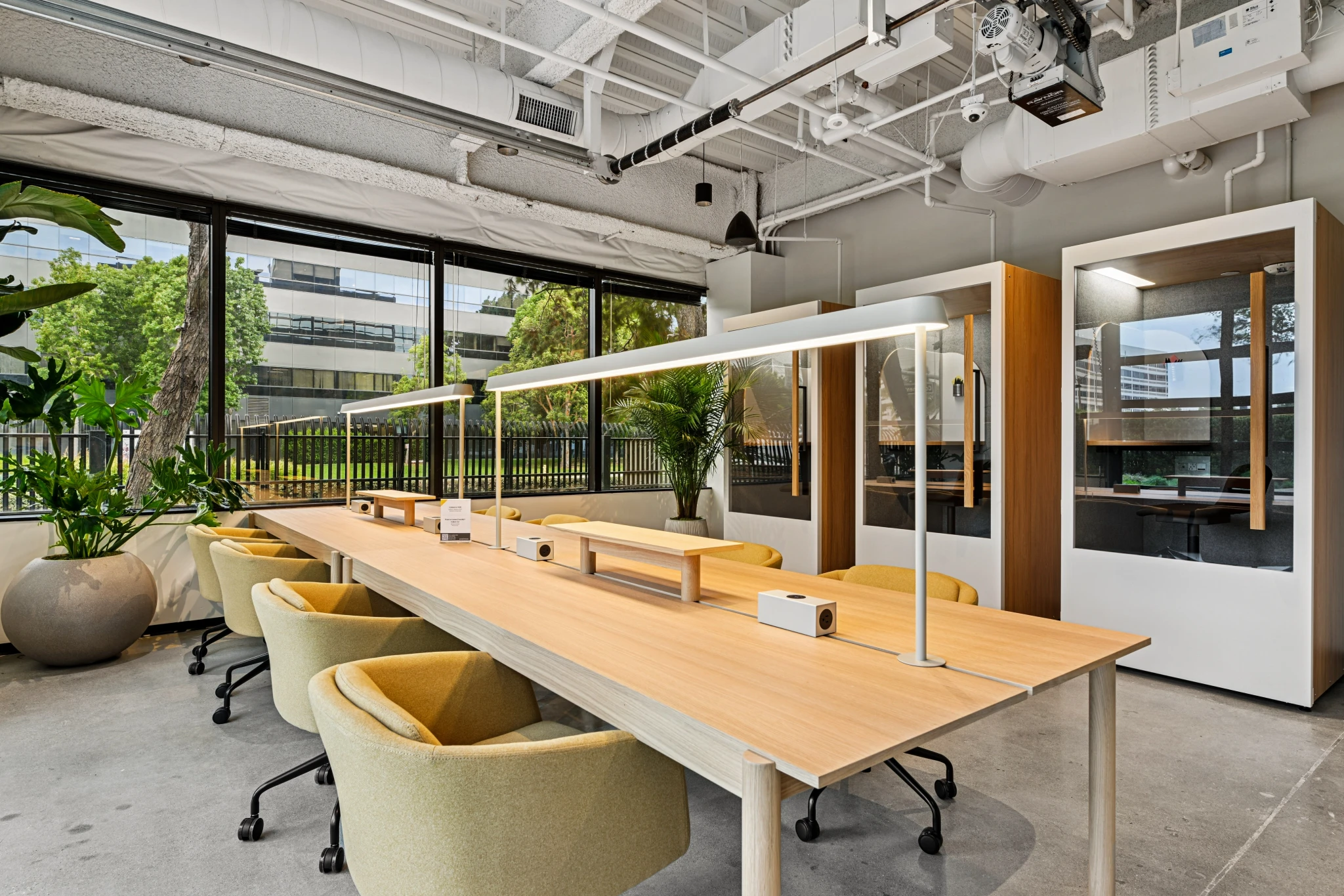 Modern office space with long wooden desks, yellow chairs, potted plants, large windows, and glass-enclosed meeting rooms for private work.