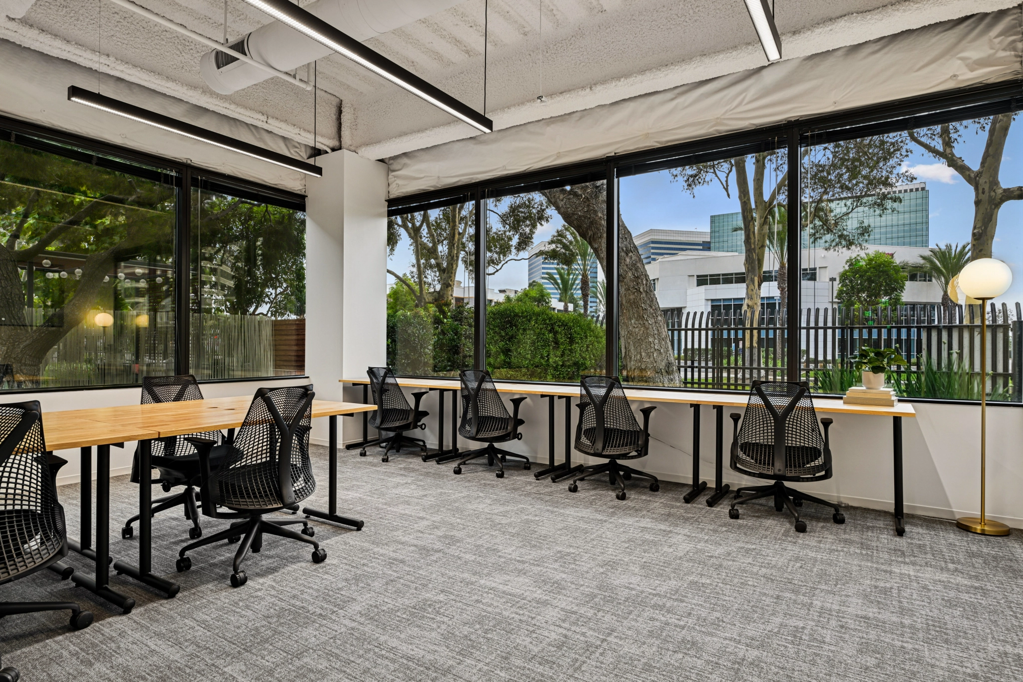 Modern coworking office space with several desks and black chairs arranged along large windows, offering views of trees and buildings outside.