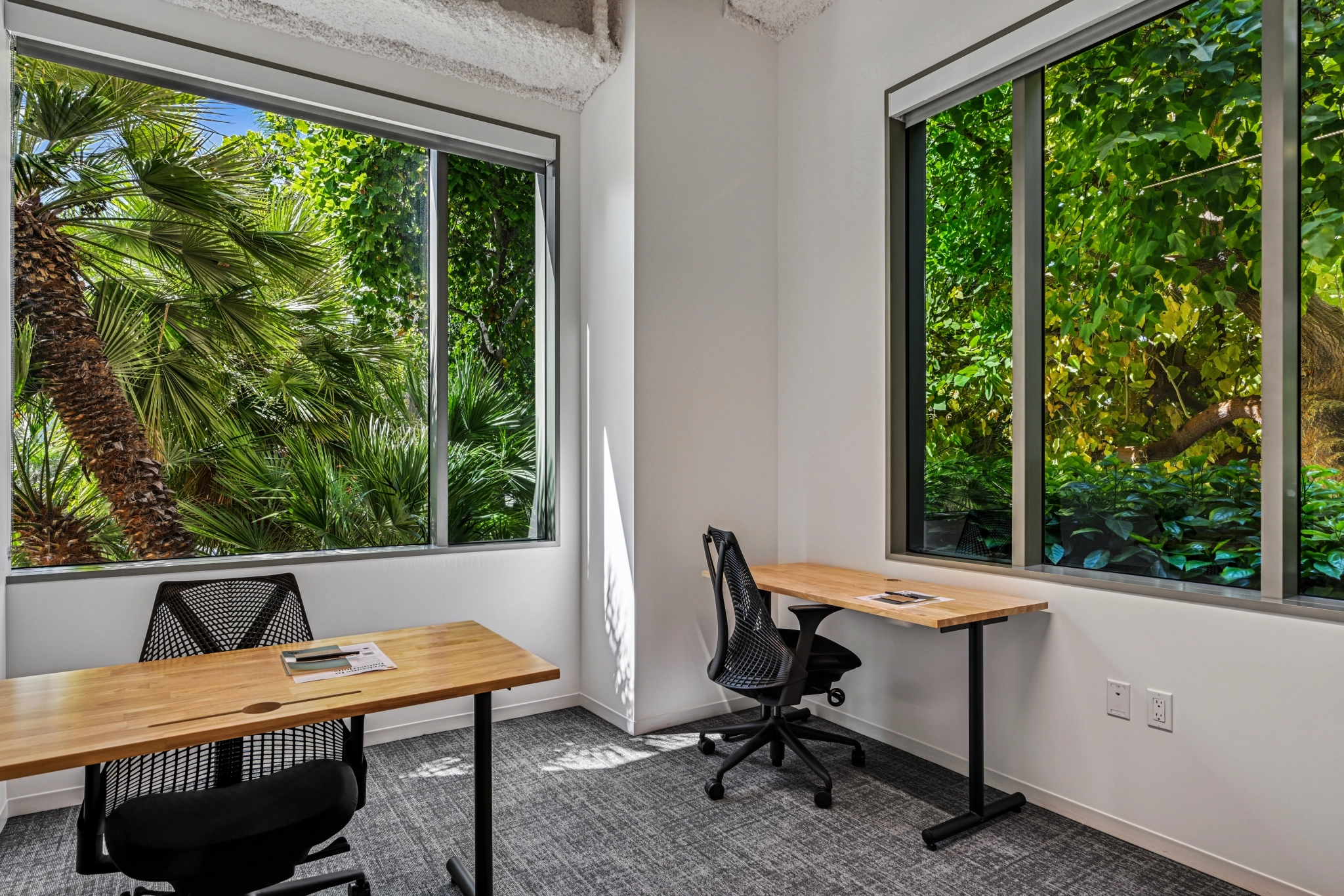 Un petit espace de coworking avec deux bureaux et des chaises, doté de grandes fenêtres qui offrent une vue sur les arbres et les plantes verdoyantes à l'extérieur.