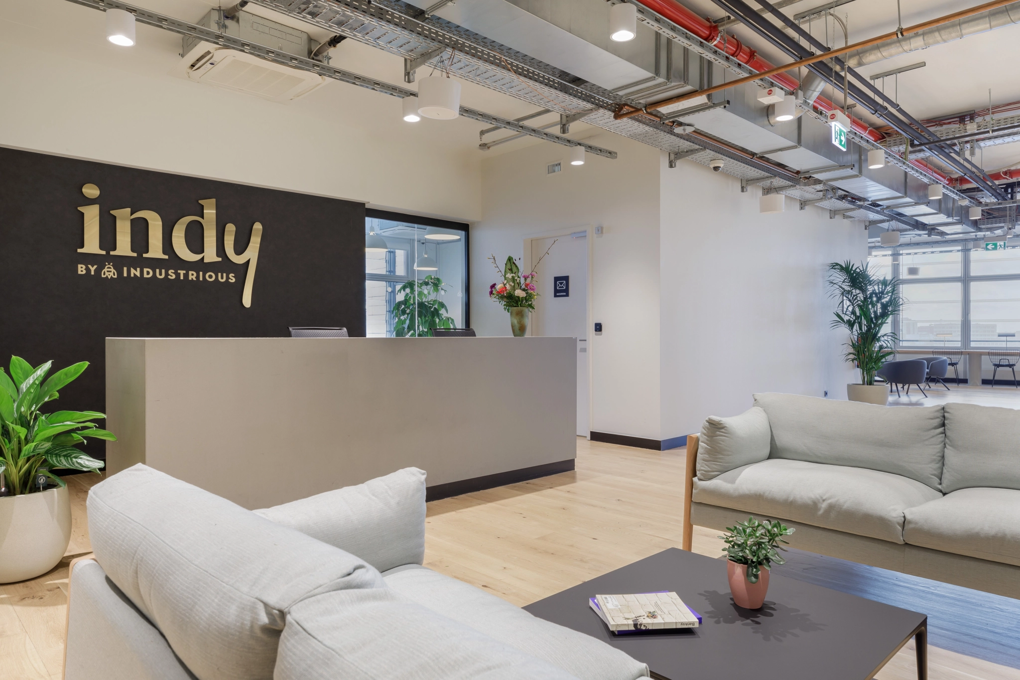 Modern office reception area with a gray front desk, light sofas, green plants, and exposed ceiling pipes. A sign on the wall reads "indy by Industrious," welcoming visitors to a vibrant coworking and office environment.