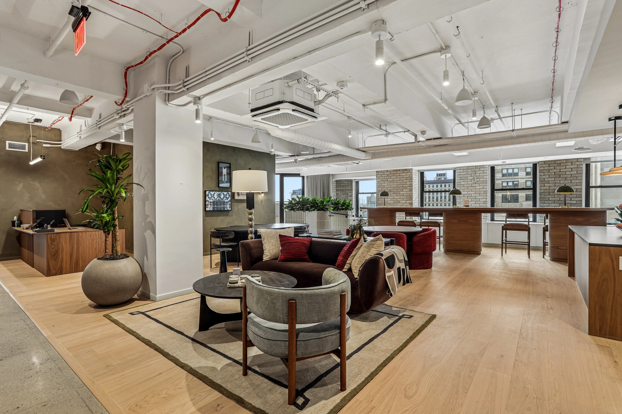 Modern office lounge in New York with a coworking seating area, plants, desks, and large windows overlooking city buildings. Light wood flooring and exposed ceiling pipes are visible.