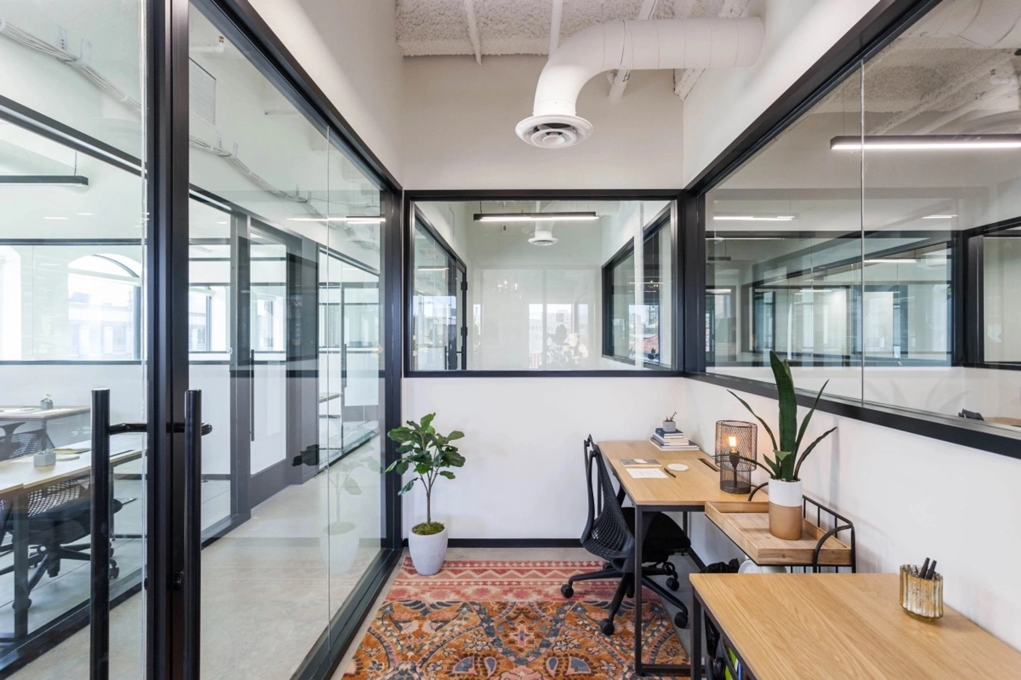 Modern coworking space showcasing a glass-walled meeting room with a plant and oriental rug, adjacent to a workspace with desks and computers.