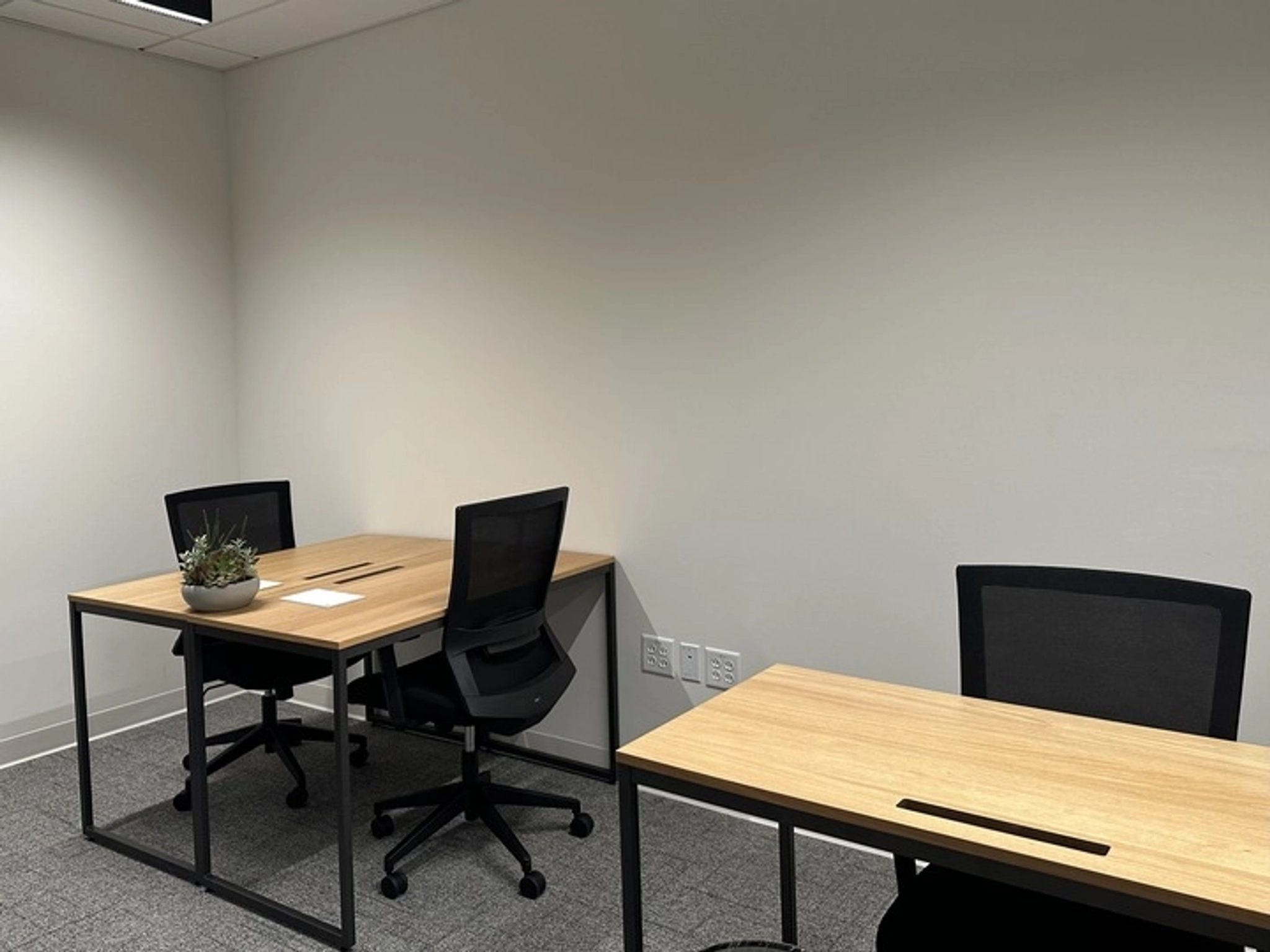 A small coworking office space in Houston with two wooden desks, each paired with a black office chair. One desk features a small plant and a notepad. The room is designed with a plain beige wall and grey carpeting for a simple yet efficient workspace.